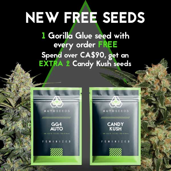 New Free Seeds