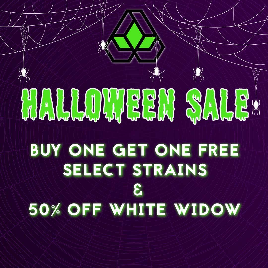 Halloween Sale