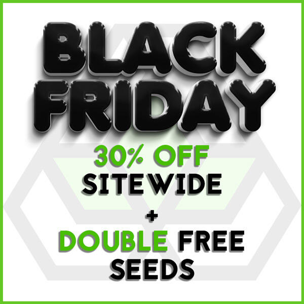 Black Friday Offer 30% OFF Sitewide