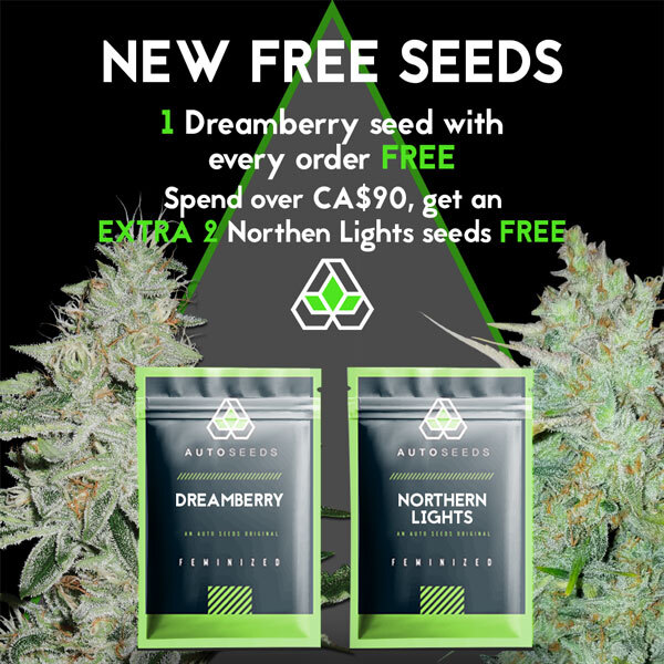 New Free Seeds