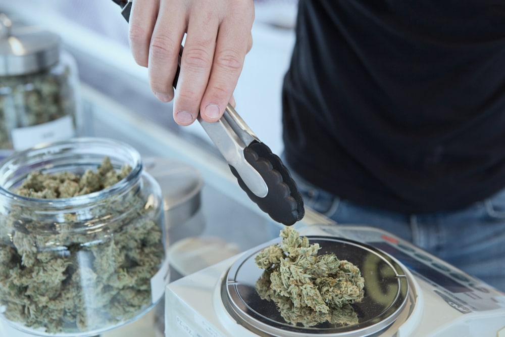 person in a cannabis dispensary weighing out a quarter of weed for a customer