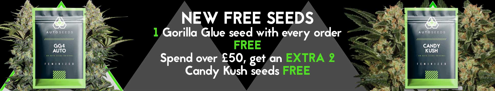 New Free Seeds