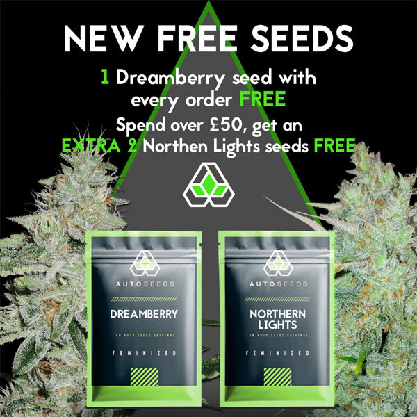 New Free Seeds