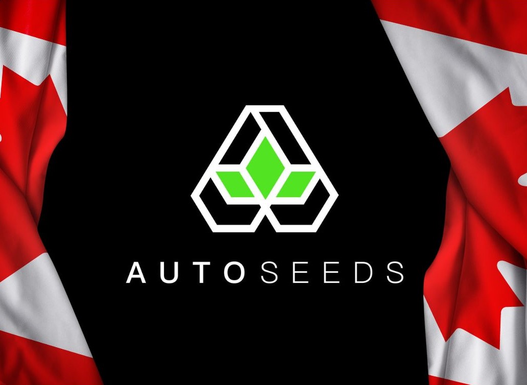 auto seeds canada flag