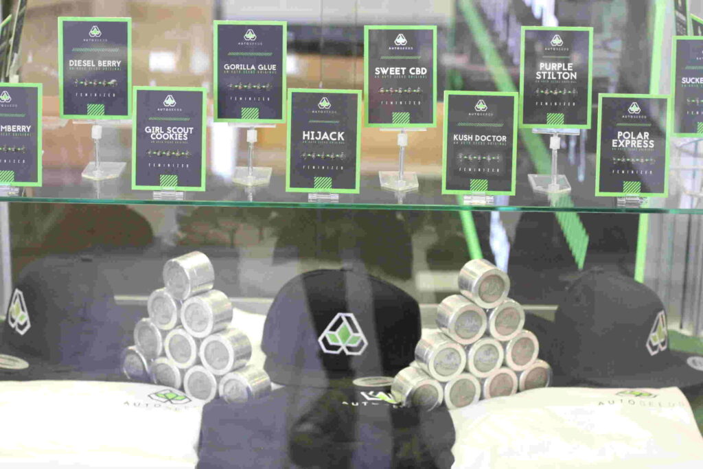 auto seeds stand and promo merchandise at cannafest trade show