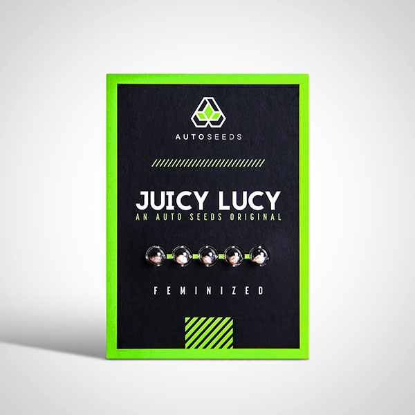 Juicy Lucy Autoflower Seeds | Auto Seeds