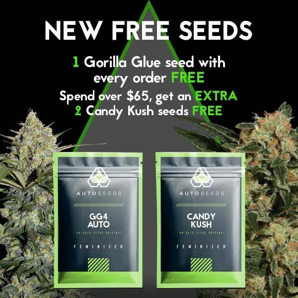 New Free Seeds