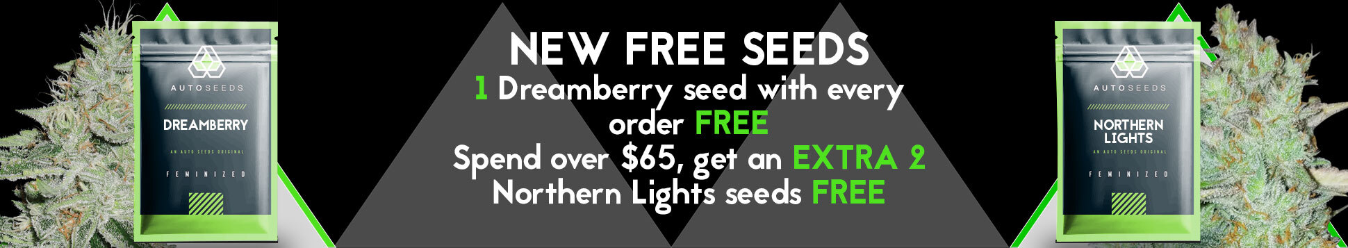 New Free Seeds