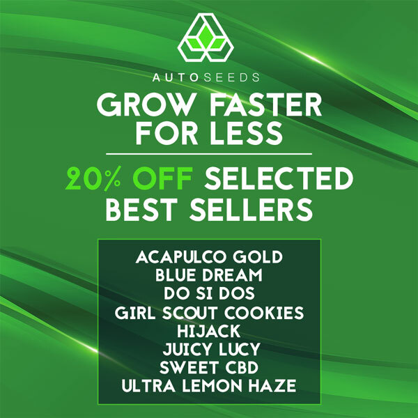 Auto Seeds Sale